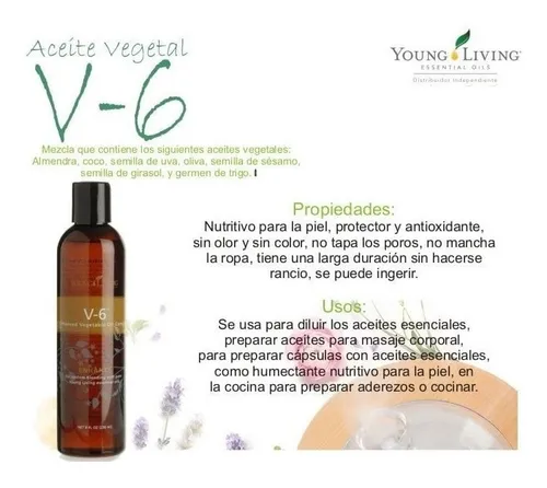 V6 2024 young living