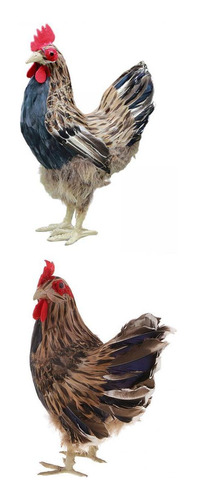 Figura De Gallina De Animal Bonito De 2 Piezas, Pollo