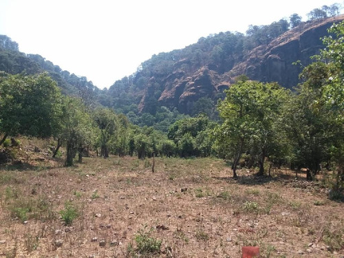Imagen 1 de 4 de Terreno En Venta En Santo Domingo, Tepoztlán $2,530,000.00
