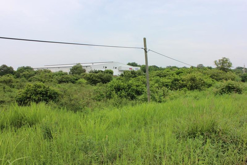Venta Terreno Tuxpan Ver, Carretera Tuxpan-tamiahua 5 Has