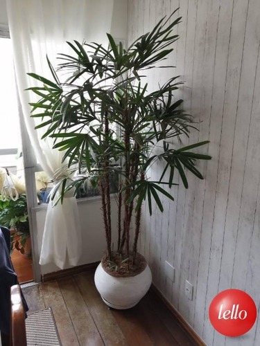 Imagem 4 de 21 de Apartamento - Ref: 32673