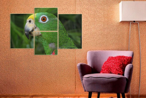 Cuadro 60x90cm Guacamayo Ara Ave Exotica Loro Selva M4