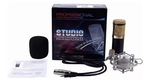 Micrófono Condensador Home Studio Bm-700 Pc