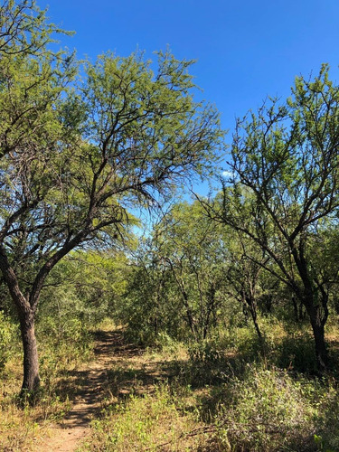 Imagen 19 de 24 de Lotes Con Escritura Desde 1556 M2 A 2365 M2 / Villa De Las Rosas - Traslasierra