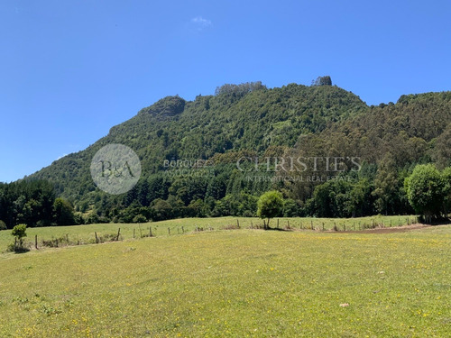Imagen 11 de 22 de 21873 - Espectacular Vista Al Lago / Venta Sin Comisión