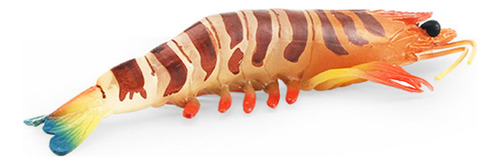 Colección De Modelos De Juguetes Educativos De Ciencia