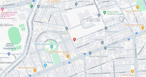 San Ignacio De Loyola, Ciudad De Los Niños, Zapopan, Jalisco Rr*