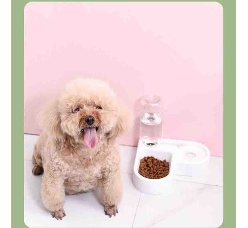 X Nuevo Recipiente Automático De Comida Y Agua For Perros,