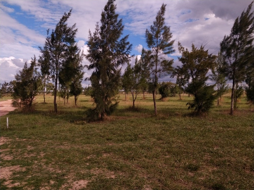 Lotes/terrenos Cañuelas 950m2 Y 1250m2