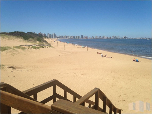 Imagen 10 de 30 de Apartamento En Punta Del Este, Mansa