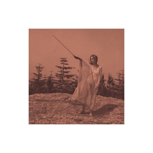 Unknown Mortal Orchestra Ii Usa Import Lp Vinilo