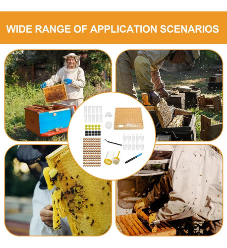 Kit Completo De Cría De Abejas Kit De Cría De Abejas Reina