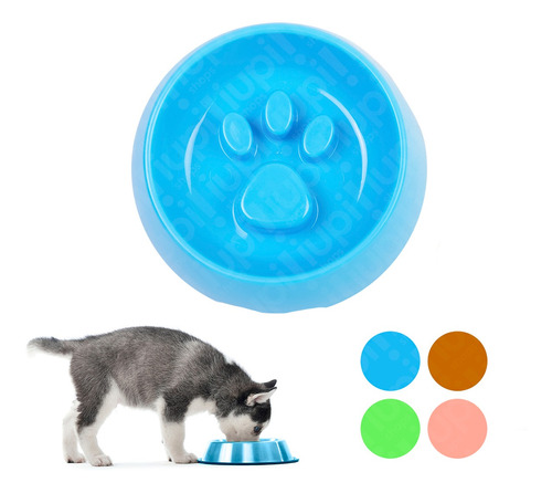 Comedero Huella Antireflujo Plato Perros Gatos 13 Cm