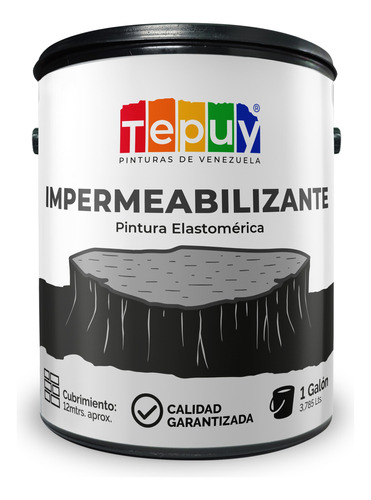 Impermeabilizante Pinturas Tepuy Pintura Elastomerica