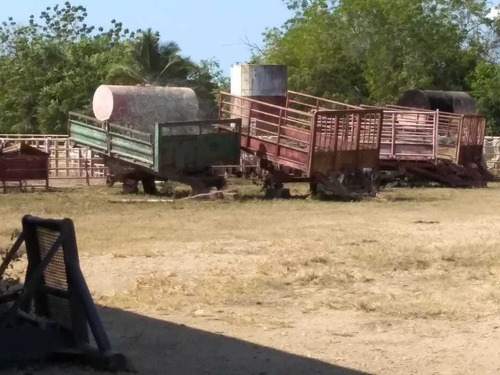 Imagen 12 de 24 de Hato En Venta En Santa Bárbara De Barinas