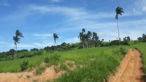 Imagem 25 de 30 de Vendo Fazenda Dupla Aptidao Regiao De Poços De Caldas (6176 )