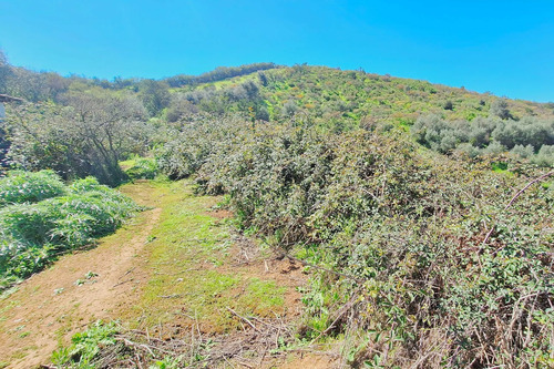 Terrenos Con Espectaculares Vistas En Rauten (118383)