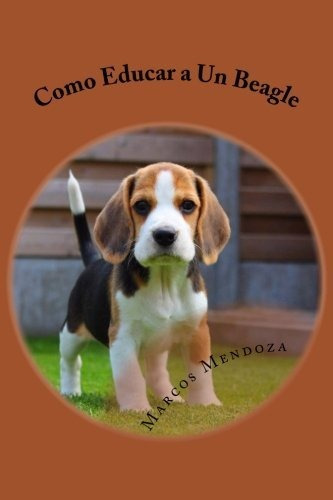 Como Educar A Un Beagle