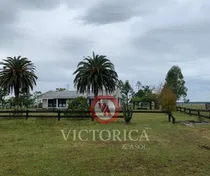 Comprar ¡oportunidad Imperdible En Paysandú! Campo Ganadero-agrícola, 2050 Has, Muy Buenas Aguadas Naturales. Casa Principal, Personal Y De Capataz Completas, Galpones.