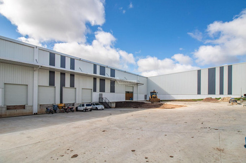 Alquiler Local Galpon Deposito Paso De La Arena Camino Bajo La Petisa 1200m2 Rampa Muelles De Carga