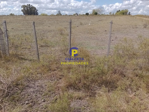 Imagen 3 de 13 de 7 Hectáreas Y Media Con Casa A Terminar