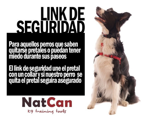 Combo Pretal Anti Tirones + Link + Collar + Correa 2m Perro