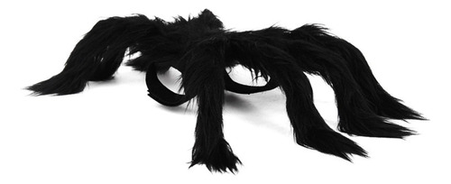 Perro Gato Araña Disfraz Decoración Accesorios Para S
