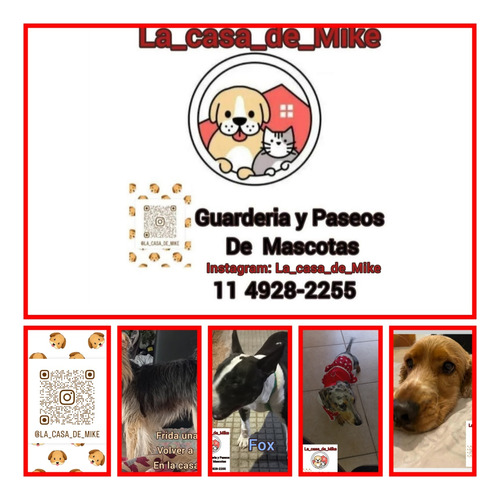 Guarderia Canina La  Casa De Mike 11 4928-2255 