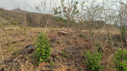 Terreno En Venta Urb Mañongo Naguanagua Carabobo Kr 