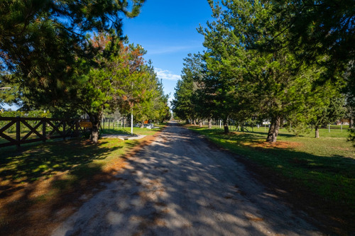 Venta Lotes De 1500 M2 | Chacras Don Jose, Lujan