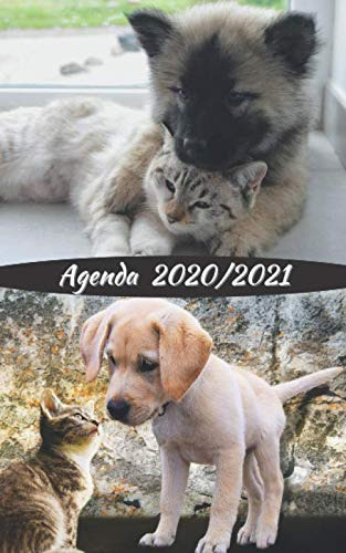 Agenda Escolar 2020-2021 Perros Y Gatos Español Ingles Y F