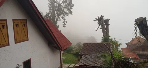 Casa En El Sector Los Pinos