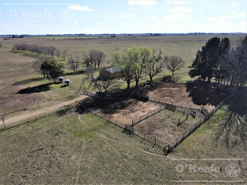 Imagen 2 de 28 de Campo En Venta 133 Has En Magdalena - Mixto.
