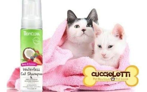 Shampoo Seco Para Gato 220 Ml