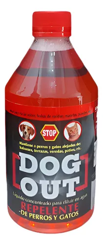 Dog out discount