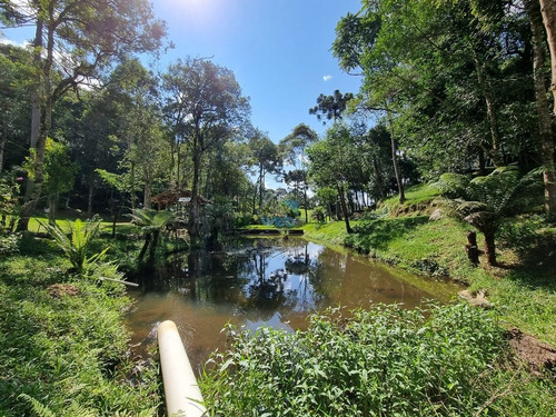 Imagem 9 de 30 de Linda Chacará Com Mais De 36.000 M², Situada Na Cidade De Quitandinha, Paraná. - Ch00019 - 70570203