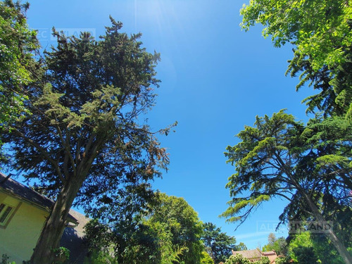 Imagen 11 de 26 de Excelente Lote-terreno Arbolado En Venta - San Isidro - Las Lomas