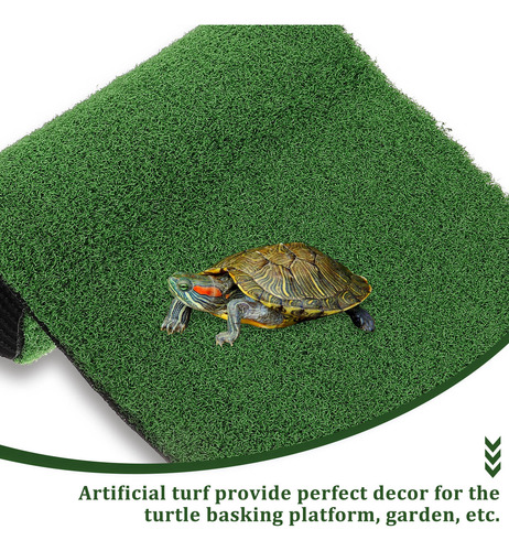 Plataforma De Escalada Para Tortugas, Césped, Tortuga, Repti