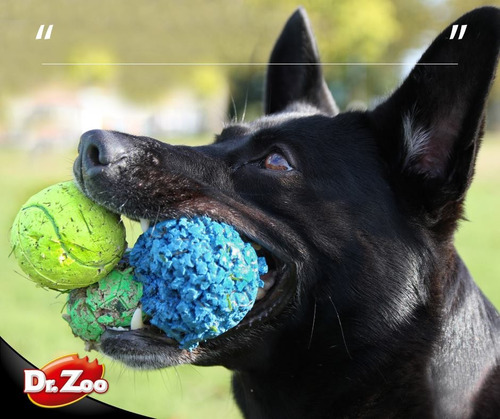 Dr. Zoo Sticks Max Salchicha X 1,5kg