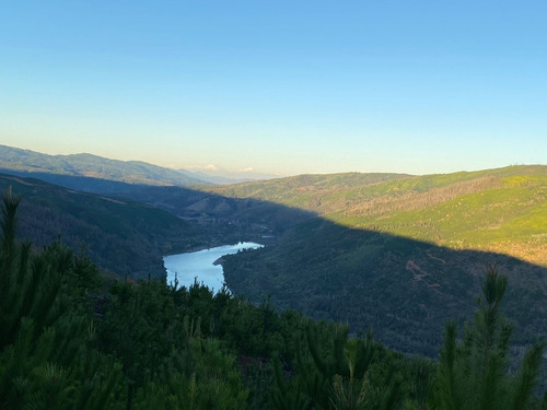 Predio Forestal En Constitución, Regeneración Plan De Manejo