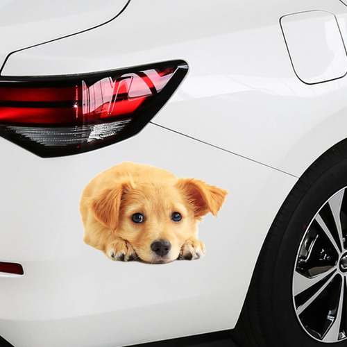Pegatinas De Simulación 3d Para Perros Y Coches, Estilo 4, P