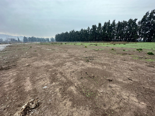 Vive En Un Lugar Soñado, Pinares De Mahuida, Chicureo.