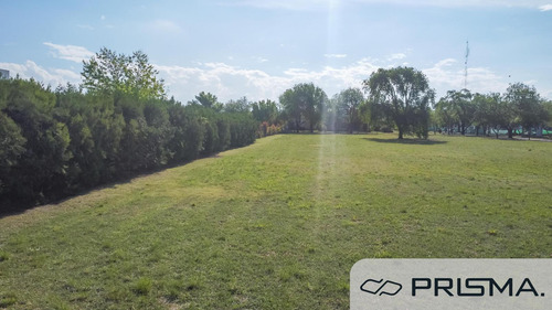 Terreno Doble/simple En Venta - Causana -