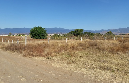 Imagen 6 de 9 de Terrenos De 320m2. En Atlatlahucan, Morelos.