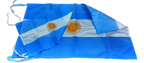 Bandera Argentina 30 X 45cm Sol Oficial Con Cintas Para Atar
