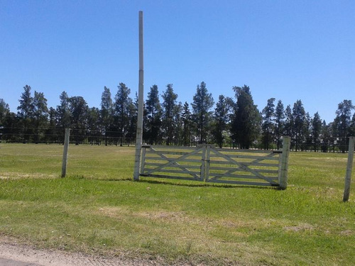 Terreno En Venta En 138/475 Y 477 City Bell - Alberto Dacal Propiedades