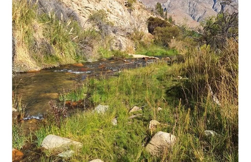 Bello Entorno Y Acceso Al Rio