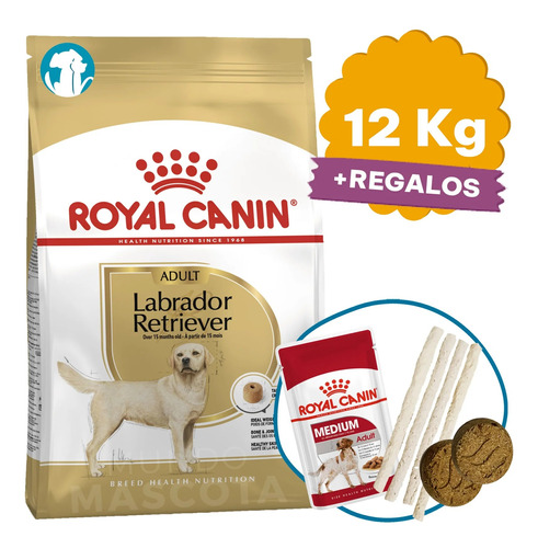 Alimento Royal Canin Labrador Retriever Adulto 12 K + Regalo