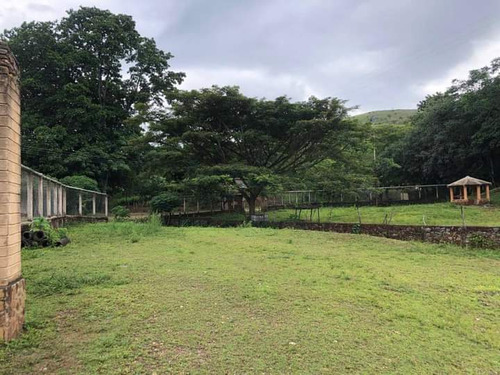 Finca Ganadera En Venta Tinaquillo S/la Pica Anny