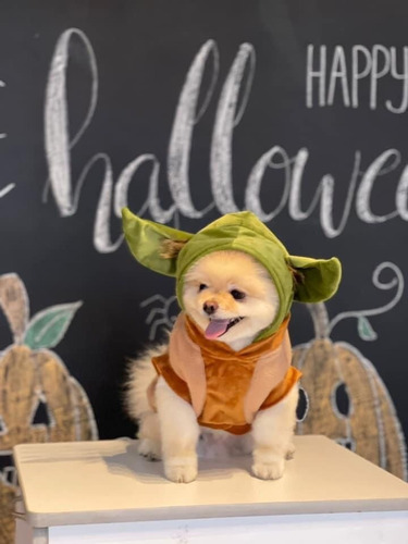 Sueter De Yoda Para Perro, Afelpado. 